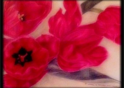 Floral Series:  Red Tulips